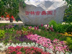 -御林古桑园