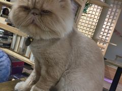 -小时光咖啡馆(开森度假森林店)