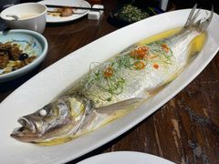 鸡汁蒸太湖白鱼-金枝玉叶上海人家食府(三里河店)