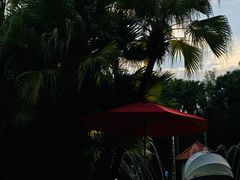 -Waterfall瀑布湾优健源(华侨城店)