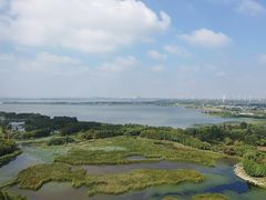 -莲花岛景区