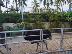 -三亚亚龙湾天域度假酒店