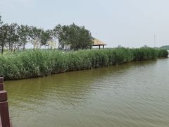 -西青郊野公园