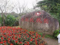 -鹅湖玫瑰文化园