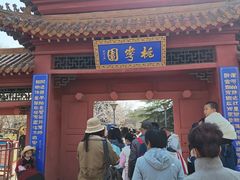 -桃花堤公园