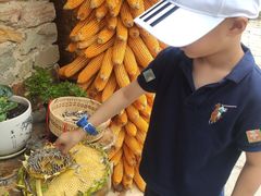 -大连北马山庄