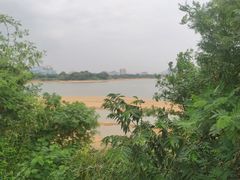 -立新湖公园