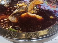 -费明中罗非鱼(大石坝店)