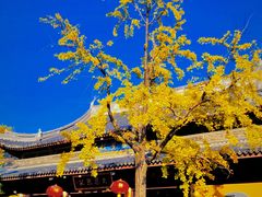 -龙华寺