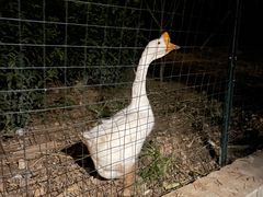 -太湖好灶头土菜馆(石公路店)