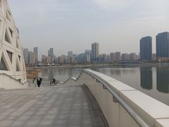 -金沙湖公园