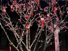 -复旦大学附属华山医院(总院)