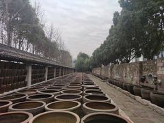 -鄞州雪菜博物馆