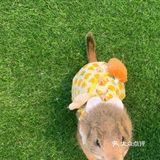 六一来撸羊驼宝宝啦！乐多的城堡主题乐园