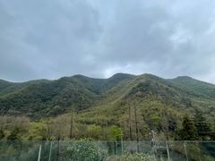 -莫干山风景区