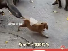 -昆明动物园