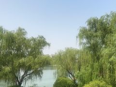 -鹊华居·地道鲁菜·海鲜·融合味(大明湖店)