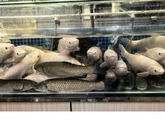 -祈胜邨•顺德鱼生•顺德菜(容桂店)