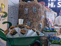 -陆家嘴中心绿地