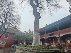 -长春观