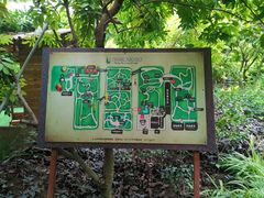-呀路古热带植物园