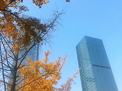 -重庆市江北嘴中央商务区中央公园