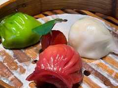 -点都德·毕德寮