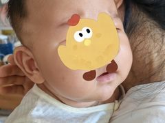 -小蝌蚪·寻·月嫂(普陀总部)