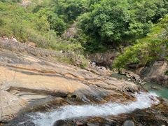 -广州白江湖森林公园