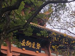 -黄鹤楼