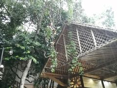 -海南槟榔谷黎苗文化旅游区