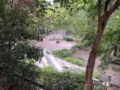 -伯先公园