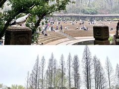 -音乐台