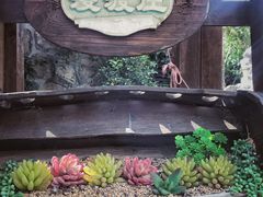 -漫渡庄绿岛花园•隐世庭园菜(滨湖店)