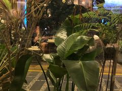 -杂咖zacup(领展中心城店)