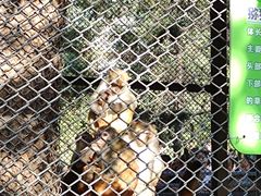 -长白岛森林公园