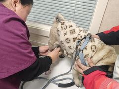 -酷宠动物医院(天通西苑店)