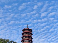 -红花山公园