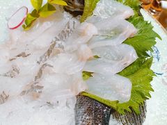 -大吉鲜鱼料理自慢(维也纳大厦店)