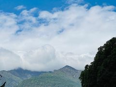 -洱海月湿地公园