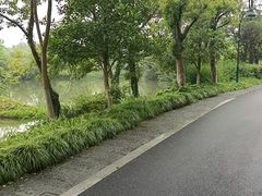 -西溪国家湿地公园