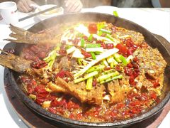 -老板恋上鱼(高新万达店)