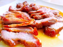 -初心烧鹅(粤华店)