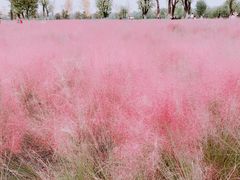 -汉长安城未央宫国家考古遗址公园