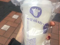 -一只酸奶牛(八一路店)
