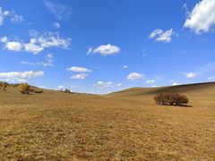 -塞罕坝国家级自然保护区