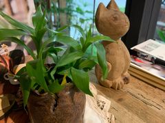 -No Cat 手碟
