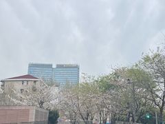 -龙美术馆西岸馆-停车场