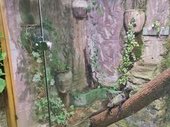 -上海大自然野生昆虫馆(东方明珠·爬宠昆虫探索中心)