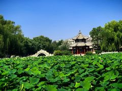 -莲池书院博物馆